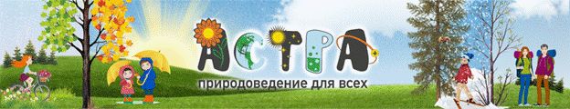 https://dou35.kirovedu.ru/wp-content/uploads/sites/47/2020/02/logo-1-1024x197.png